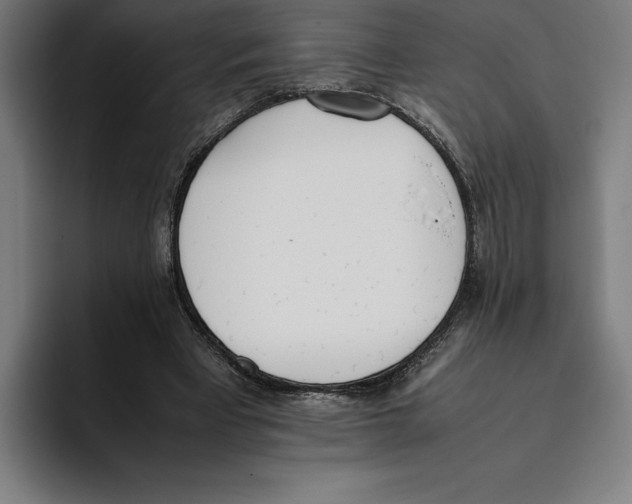 X0000093390393200711081610