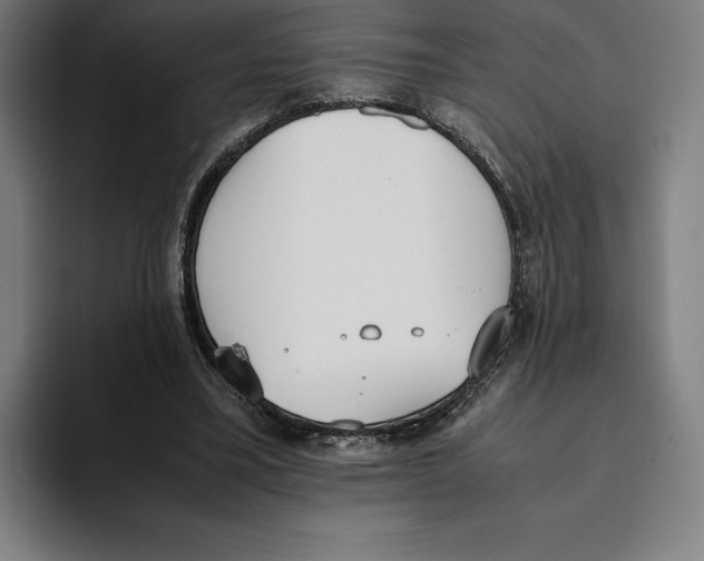 X0000093390395200711081610