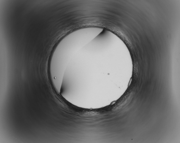 X0000093390397200711081610