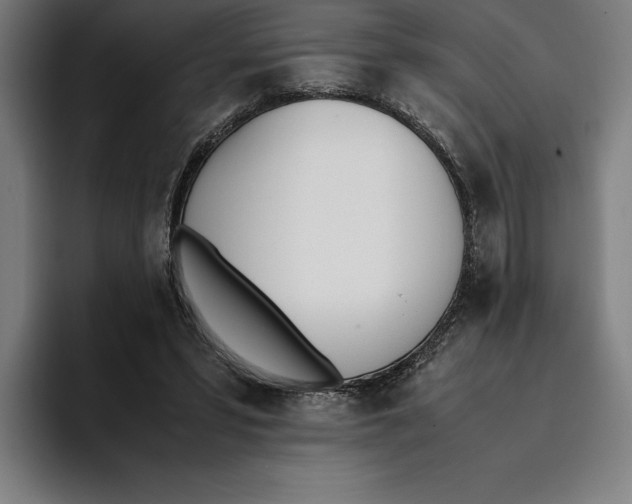 X0000093390399200711081610