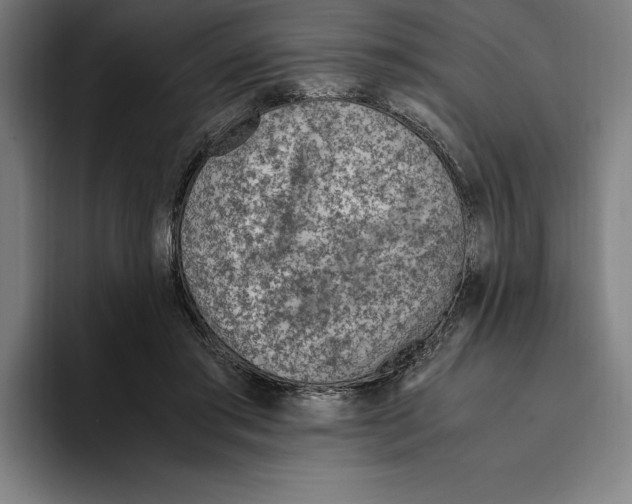 X0000093390405200711081610