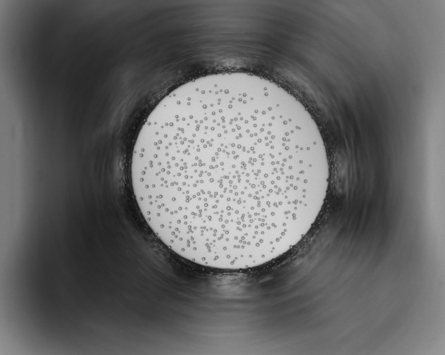 X0000093390410200711081609
