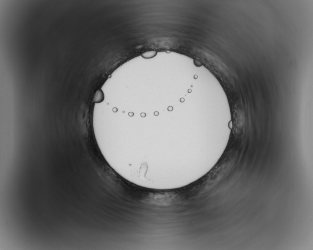 X0000093390414200711081609