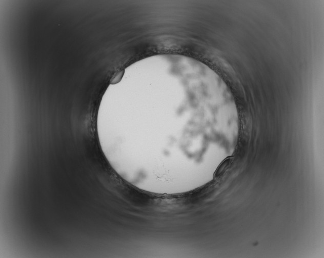 X0000093390419200711081609
