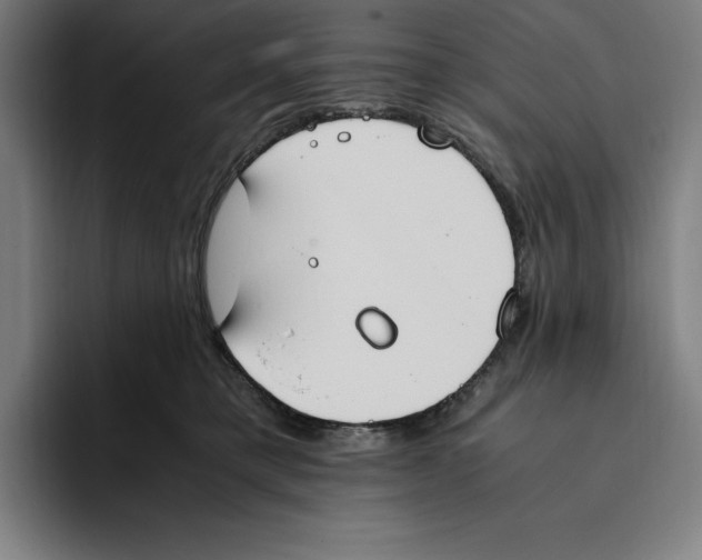 X0000093390421200711081609