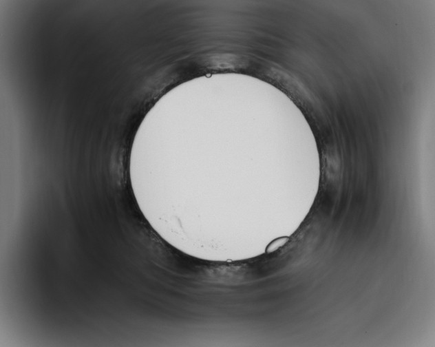 X0000093390422200711081609