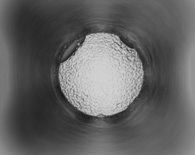 X0000093390423200711081609