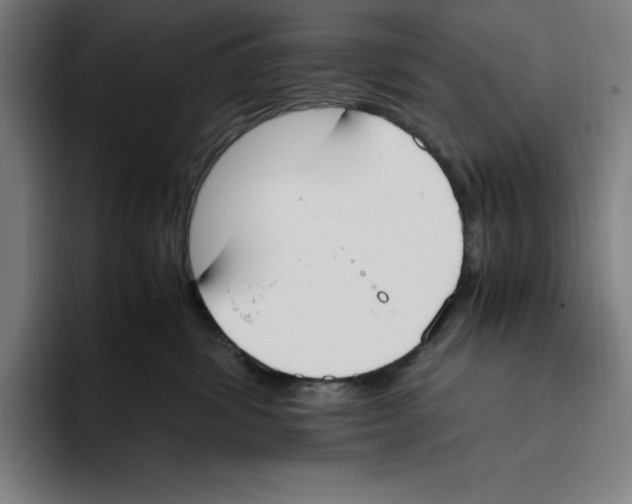 X0000093390428200711081609