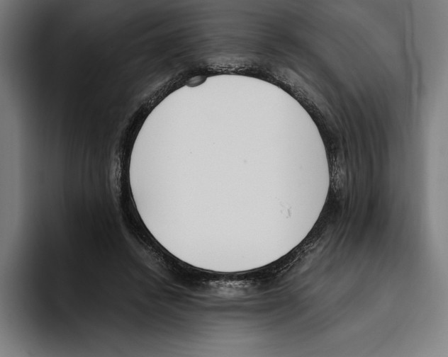 X0000093390448200711081609