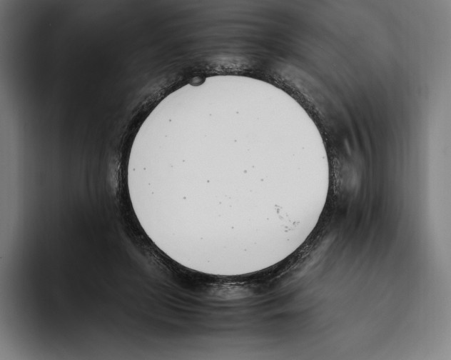 X0000093390451200711081609