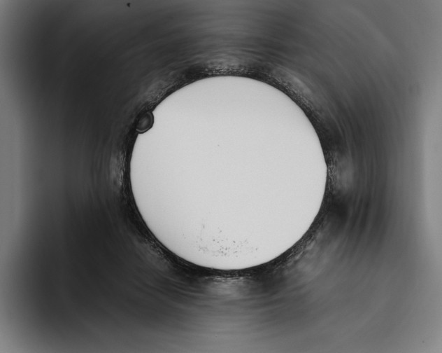 X0000093390458200711081609