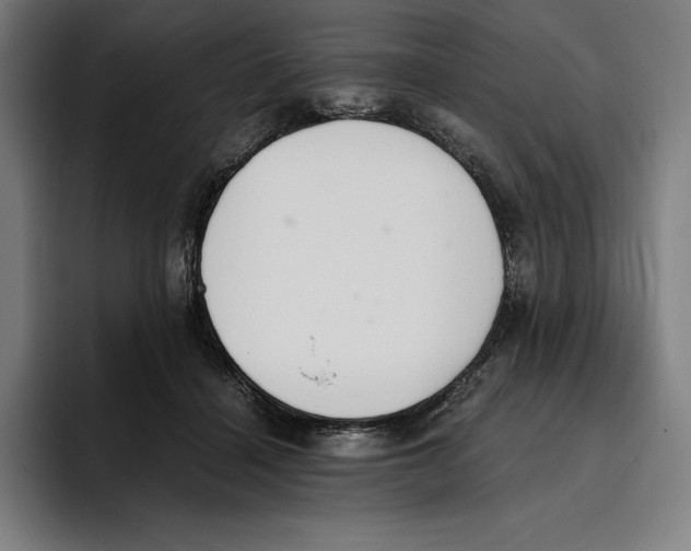 X0000093390460200711081609