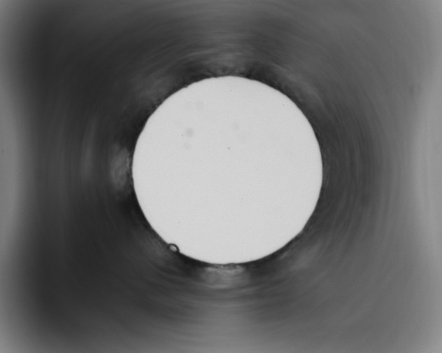 X0000093390480200711081609