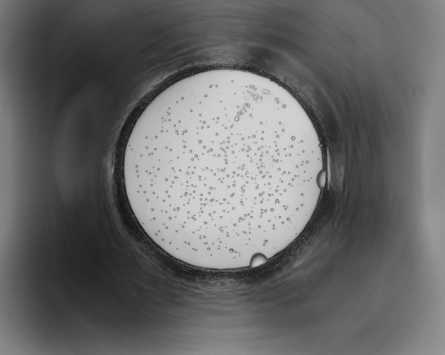 X0000093390483200711081609