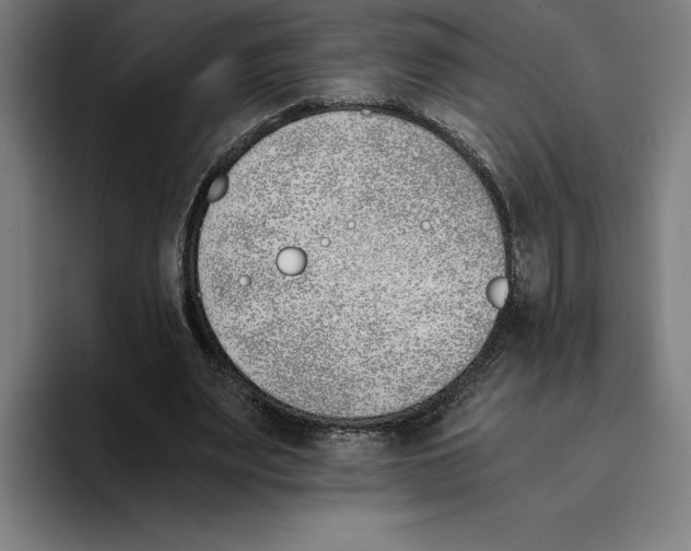 X0000093390487200711081608