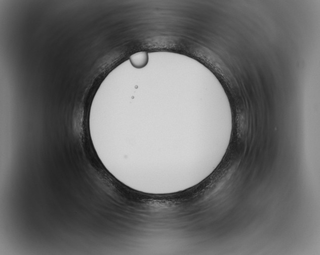 X0000093390490200711081608