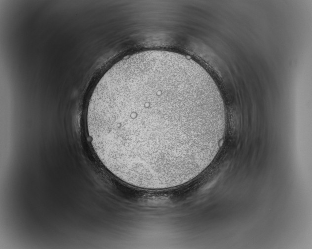 X0000093390491200711081608