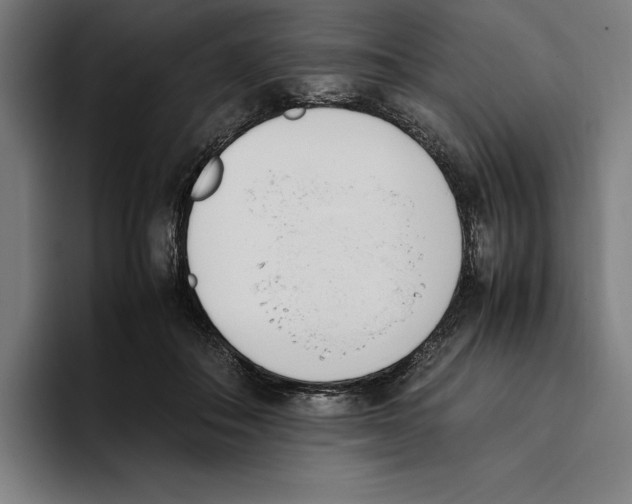 X0000093390506200711081608
