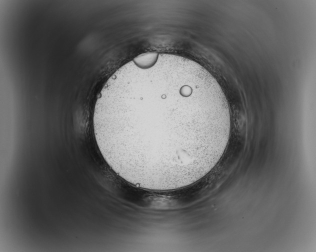 X0000093390507200711081608