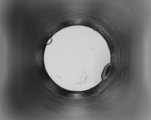 X0000093390509200711081608