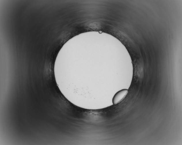 X0000093390518200711081608