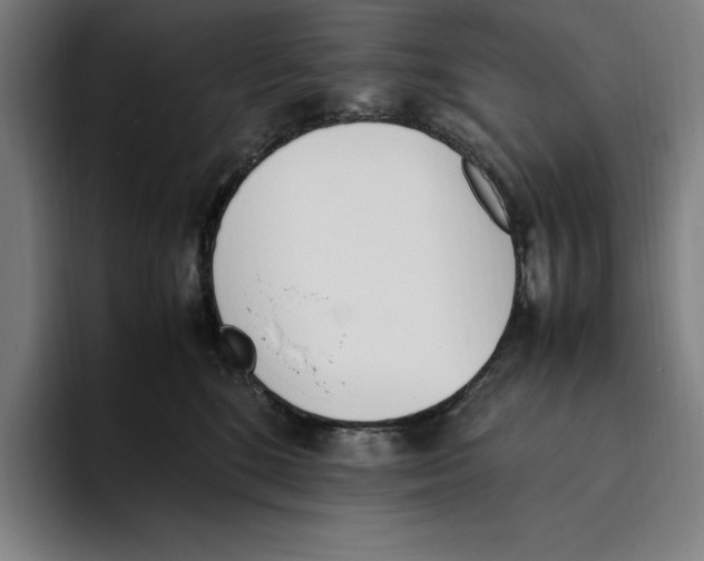 X0000093390520200711081608