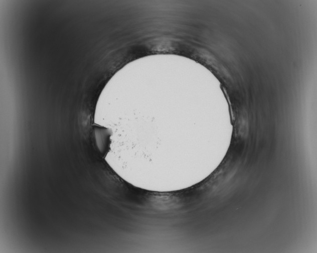 X0000093390521200711081608