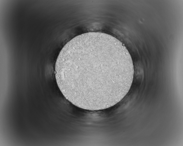 X0000093390523200711081608