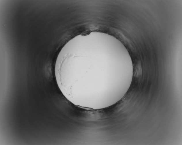 X0000093390524200711081608