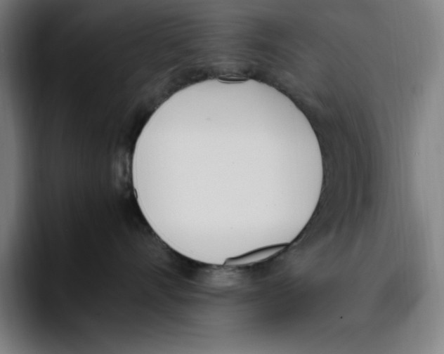 X0000093390528200711081608