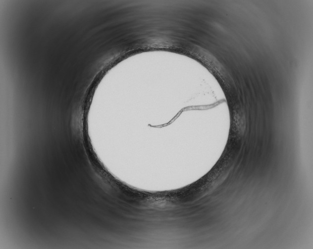 X0000093390534200711081607