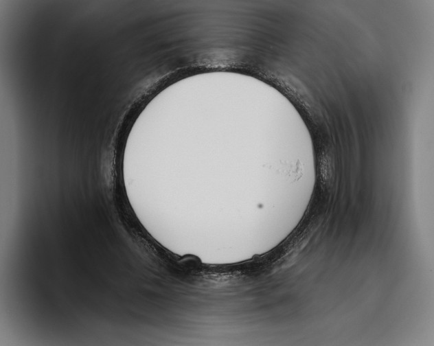 X0000093390540200711081607