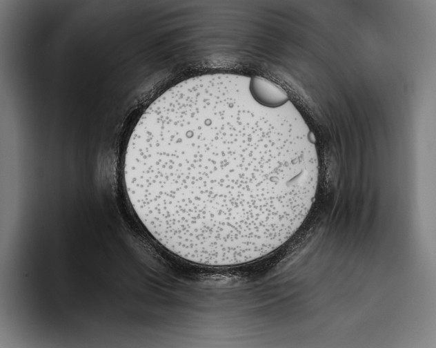 X0000093390542200711081607