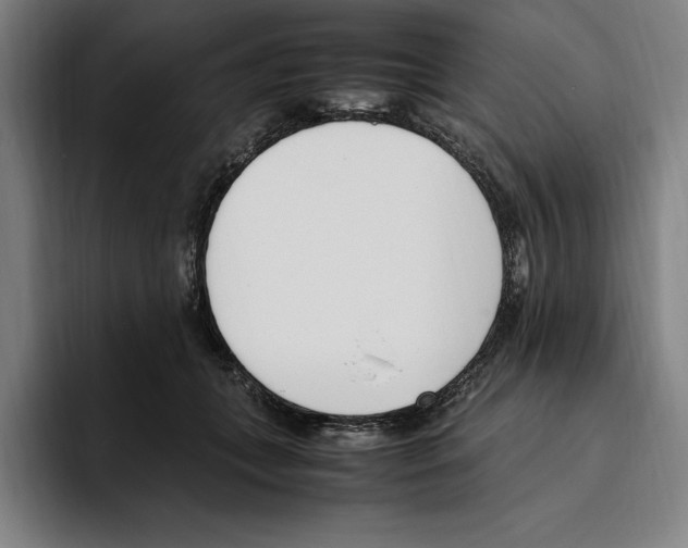 X0000093390559200711081608