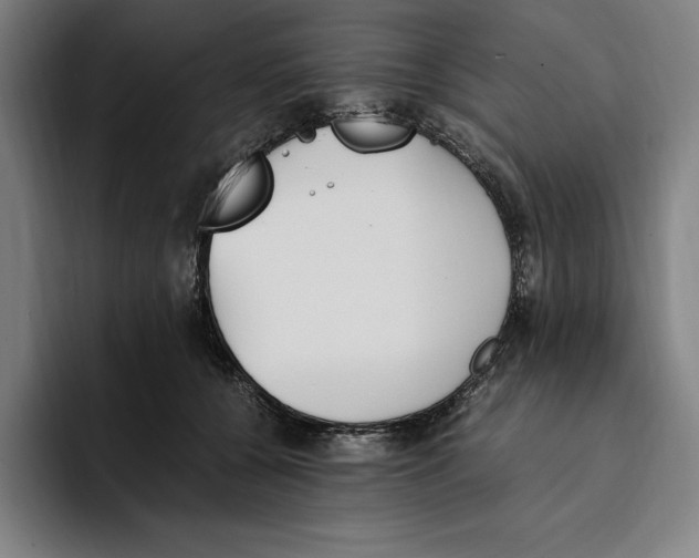 X0000093390560200711081608