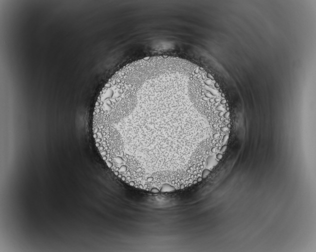 X0000093390565200711081608