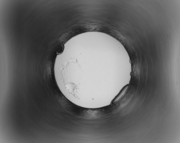 X0000093390570200711081608