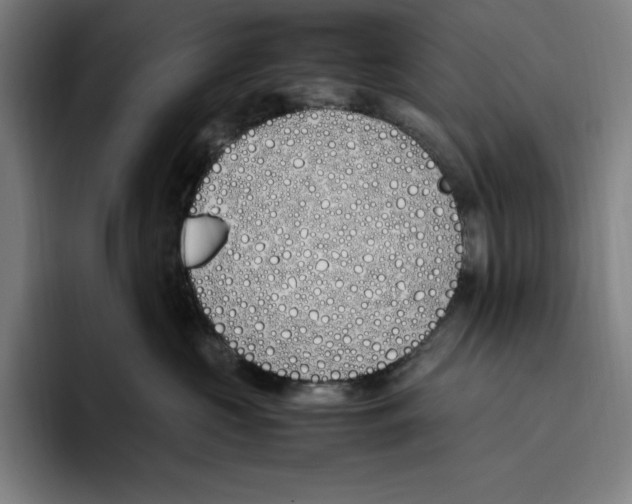 X0000093390573200711081608
