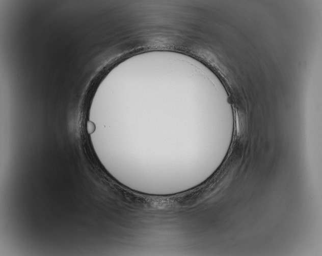 X0000093390579200711081607