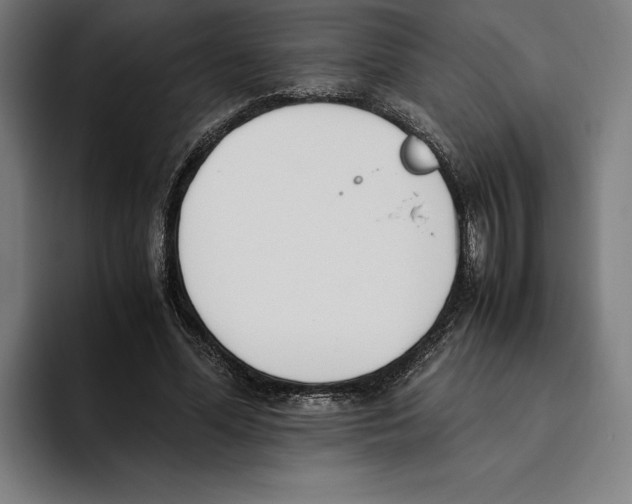 X0000093390588200711081607