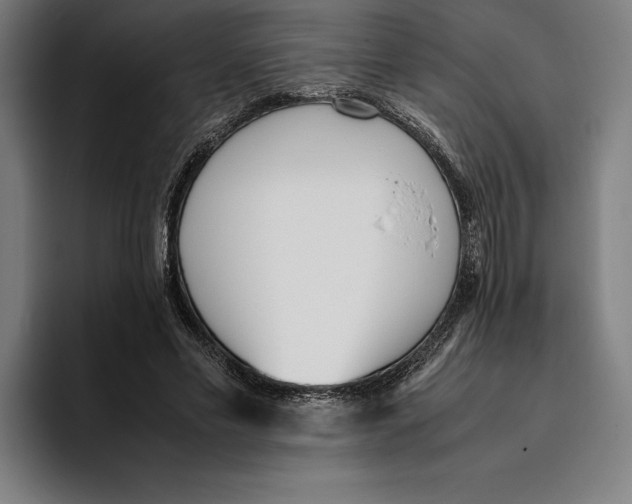 X0000093390589200711081607