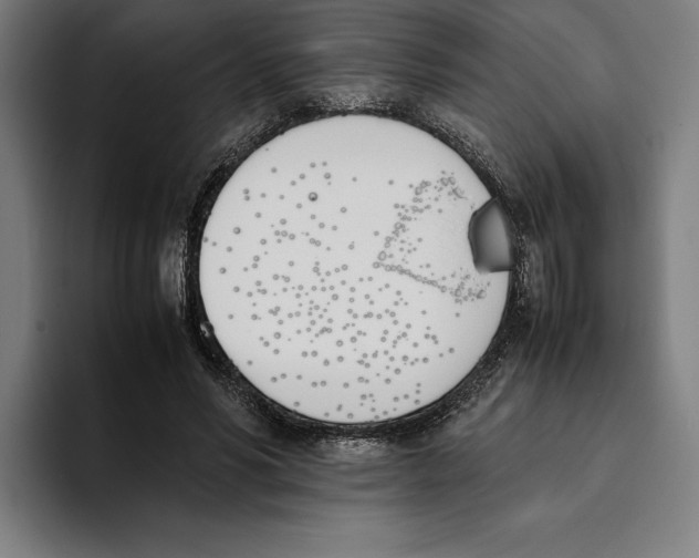 X0000093390590200711081607