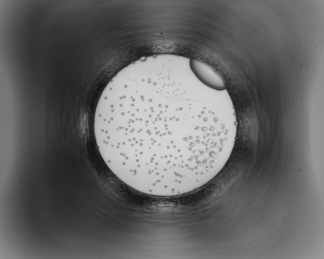 X0000093390598200711081607