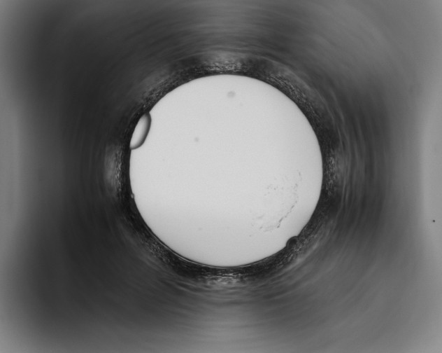 X0000093390600200711081607