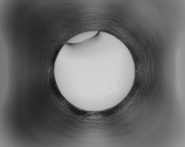 X0000093390601200711081607