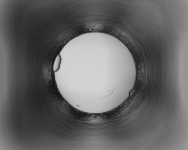 X0000093390604200711081607