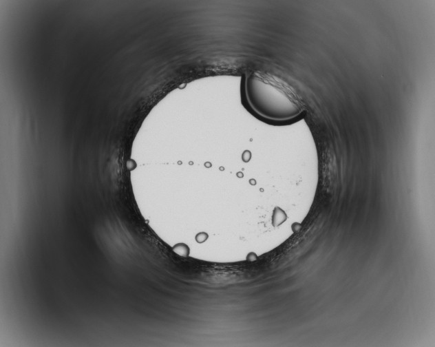 X0000093390608200711081607