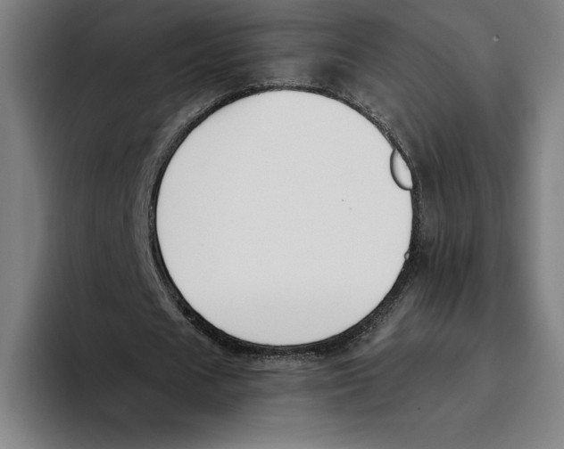 X0000093390625200711081606