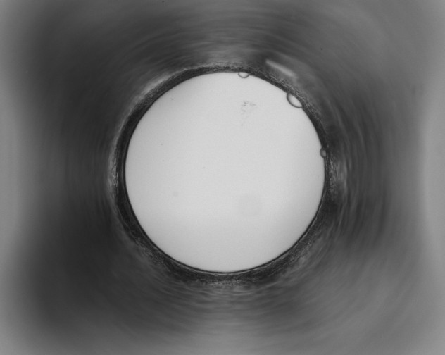 X0000093390628200711081606