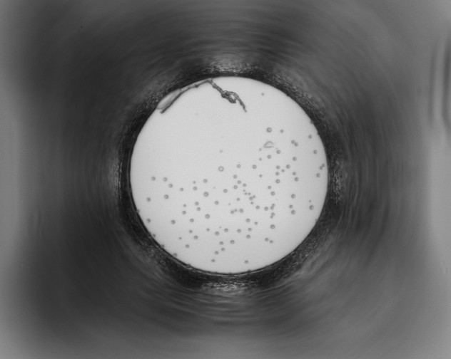X0000093390639200711081606